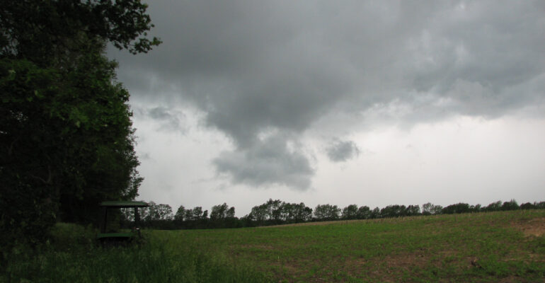 Storm in Michigan