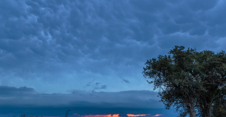 Shelf at Sunset